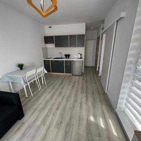 Apartament Katowicka Apartment Познан Екстериор снимка